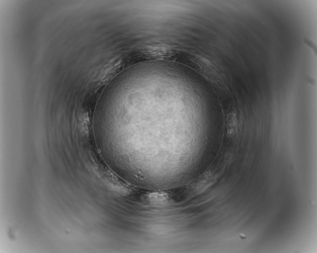 X0000101160279200807071205