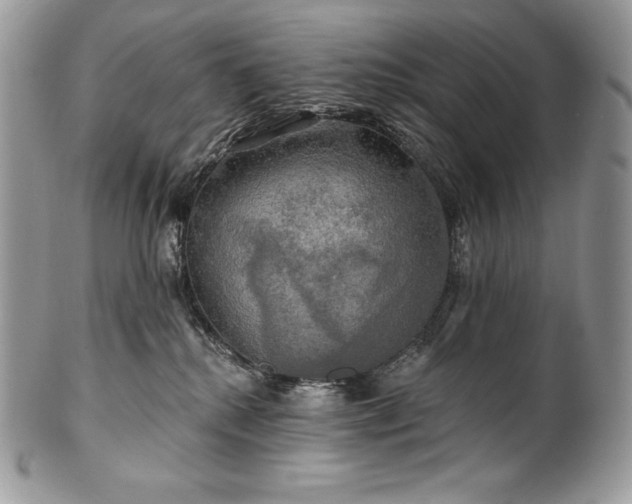 X0000101160280200807071205