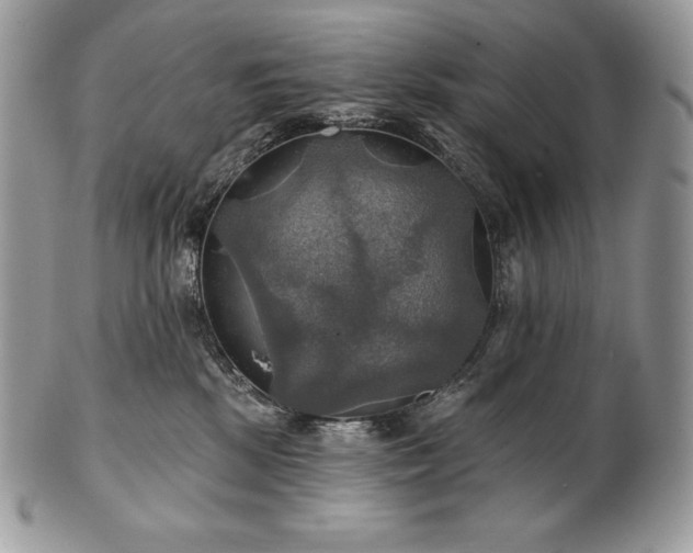 X0000101160281200807071205