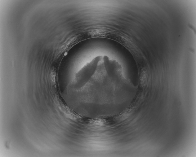 X0000101160282200807071205