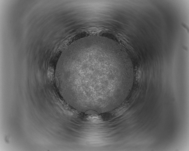 X0000101160283200807071205