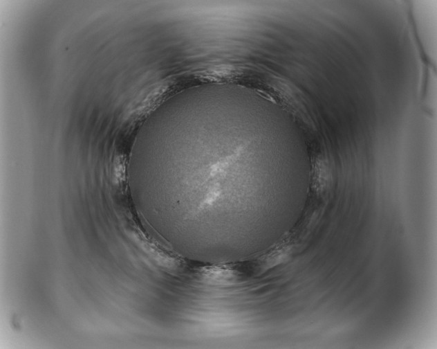 X0000101160284200807071205