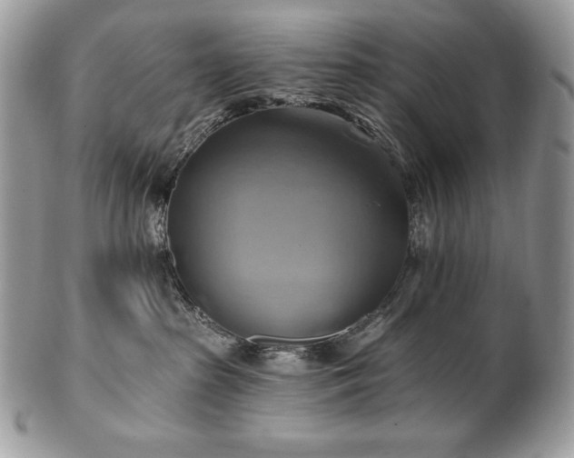 X0000101160285200807071205