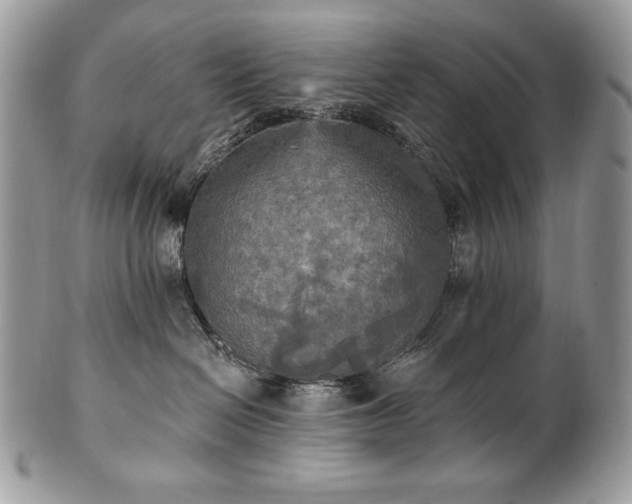 X0000101160286200807071205