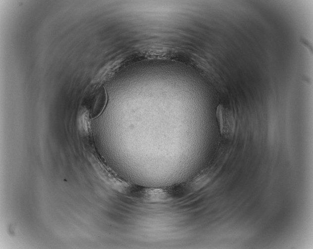 X0000101160287200807071205