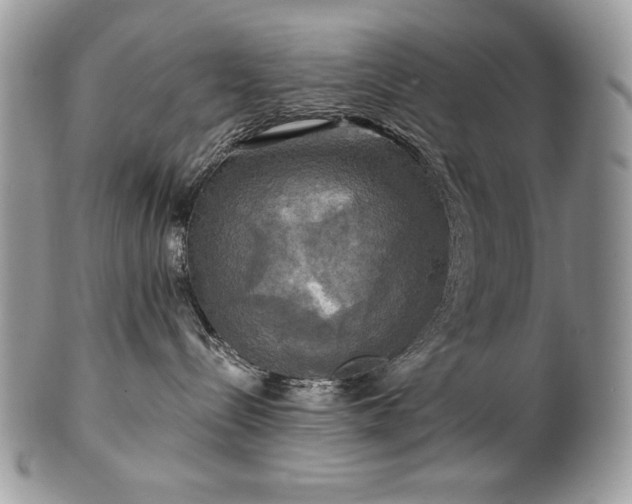 X0000101160288200807071205