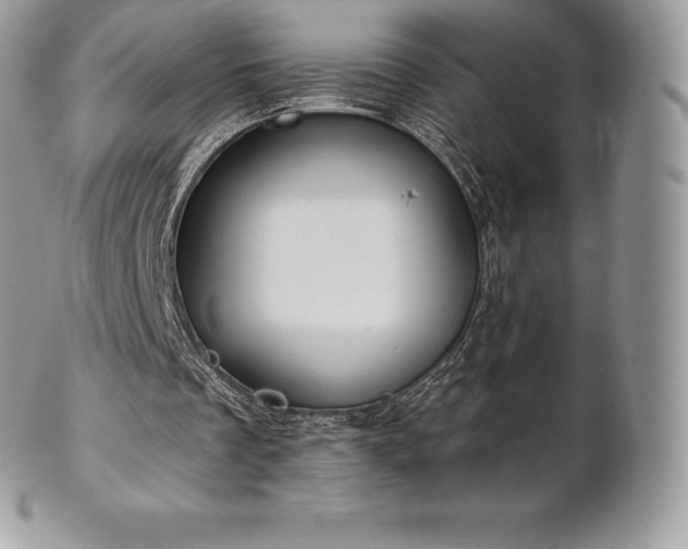 X0000101160289200807071205