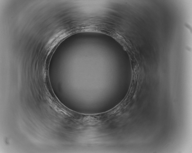 X0000101160290200807071204