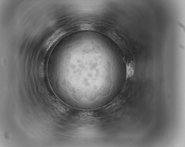 X0000101160291200807071204