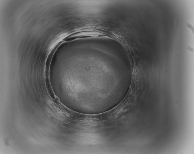 X0000101160292200807071204