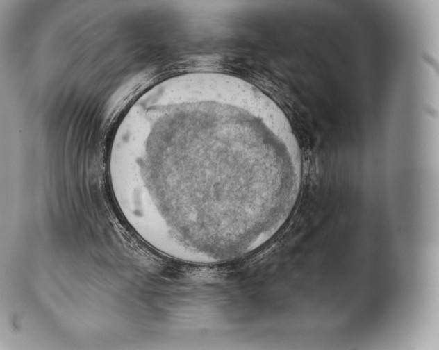 X0000101160293200807071204