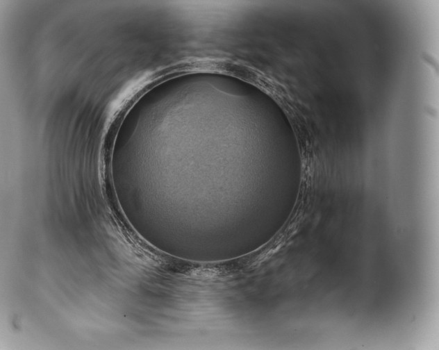 X0000101160294200807071204