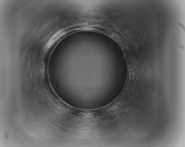 X0000101160295200807071204