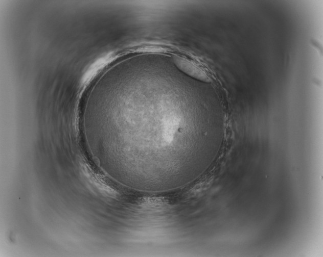 X0000101160296200807071204