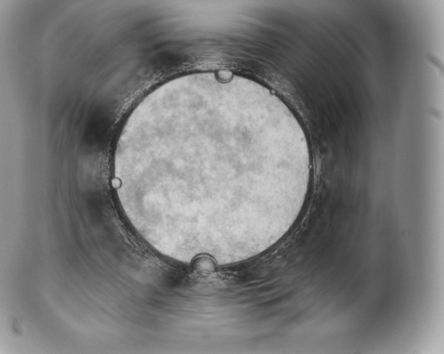 X0000101160297200807071204