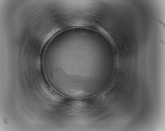 X0000101160298200807071204