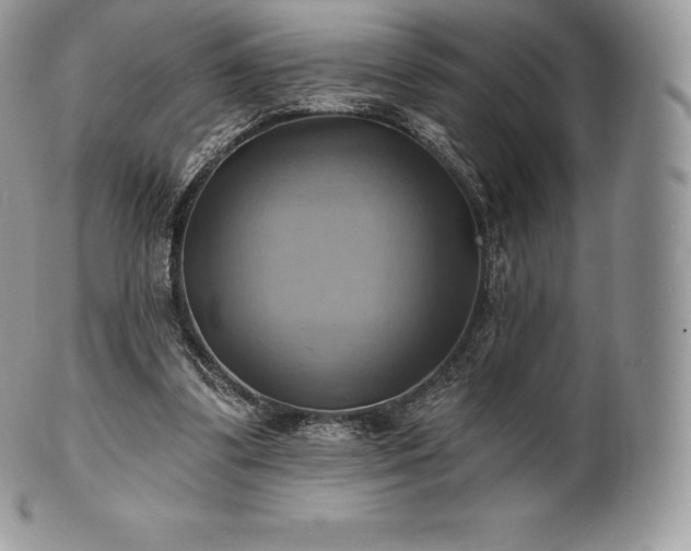 X0000101160299200807071204