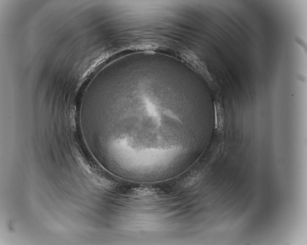 X0000101160300200807071204