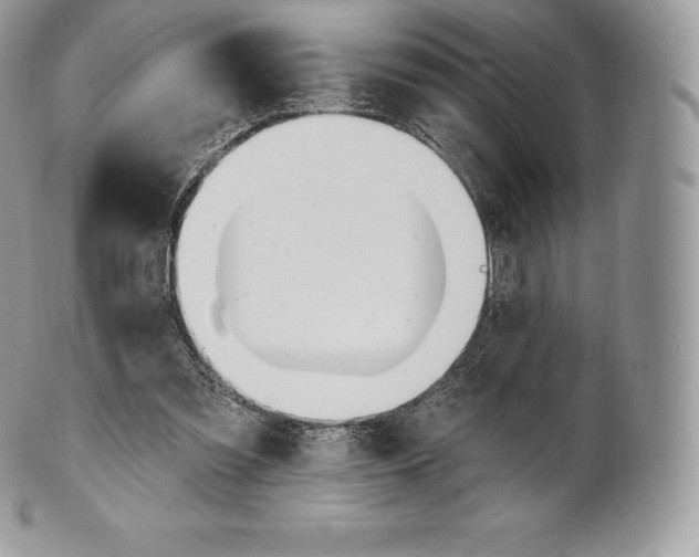 X0000101160301200807071204