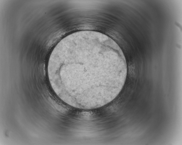 X0000101160302200807071204