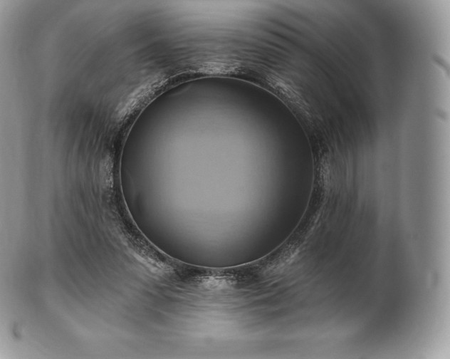 X0000101160303200807071204