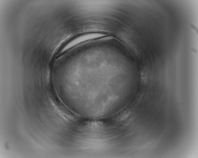 X0000101160304200807071204