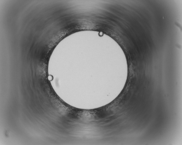 X0000101160305200807071204