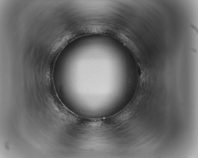 X0000101160306200807071204