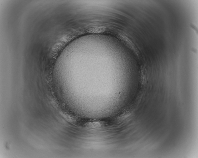 X0000101160307200807071204