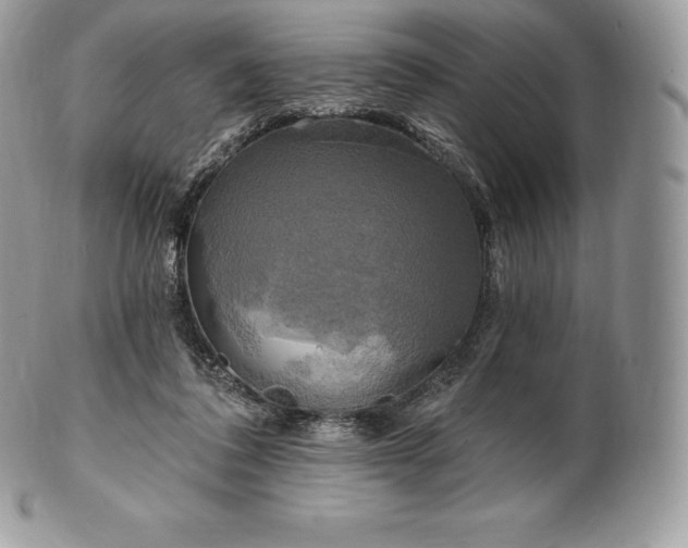 X0000101160308200807071204