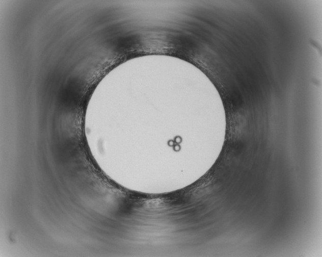 X0000101160309200807071204