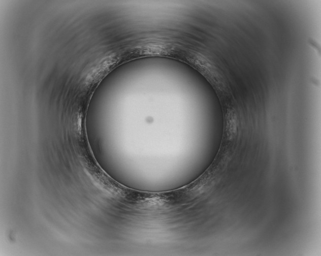 X0000101160310200807071204