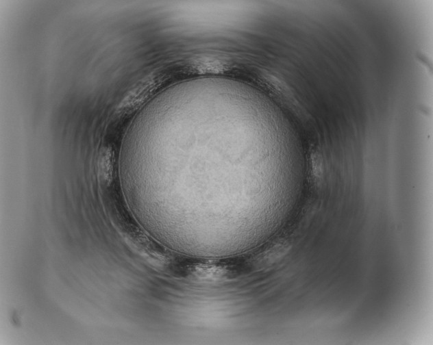 X0000101160311200807071204