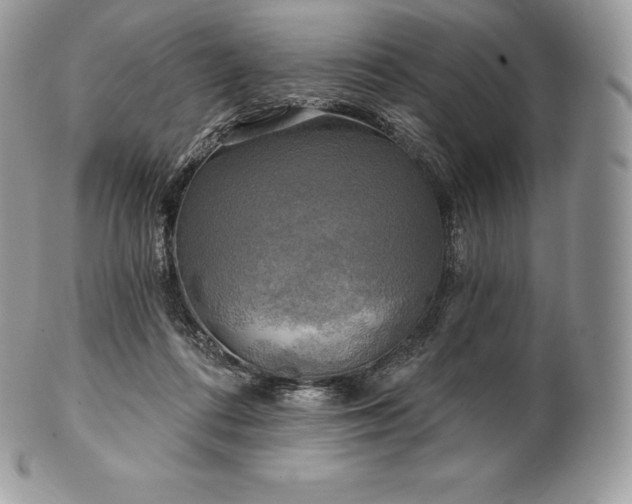 X0000101160312200807071204