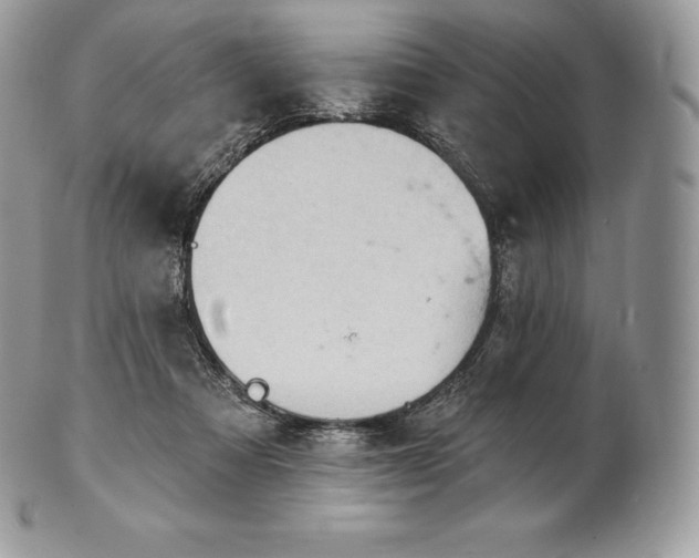 X0000101160313200807071204