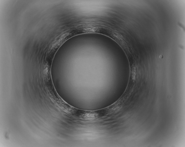 X0000101160314200807071204