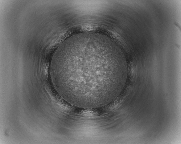 X0000101160315200807071204