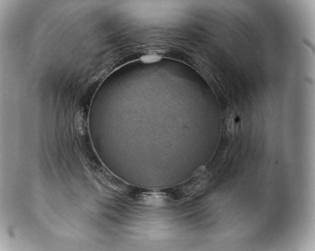 X0000101160316200807071204