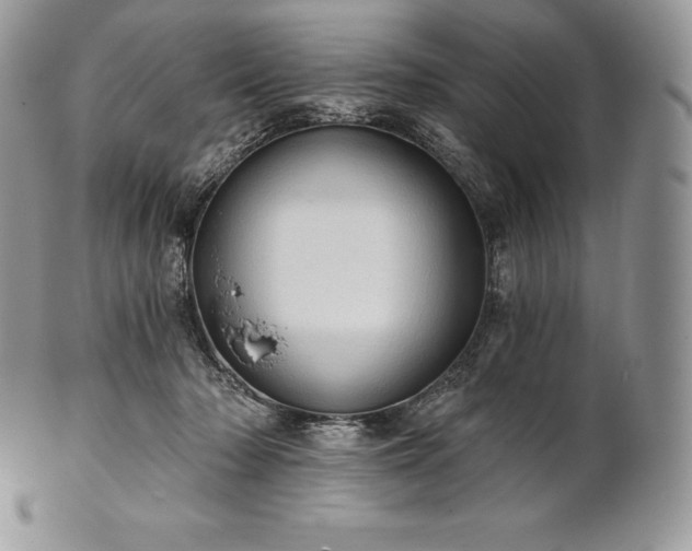 X0000101160318200807071204