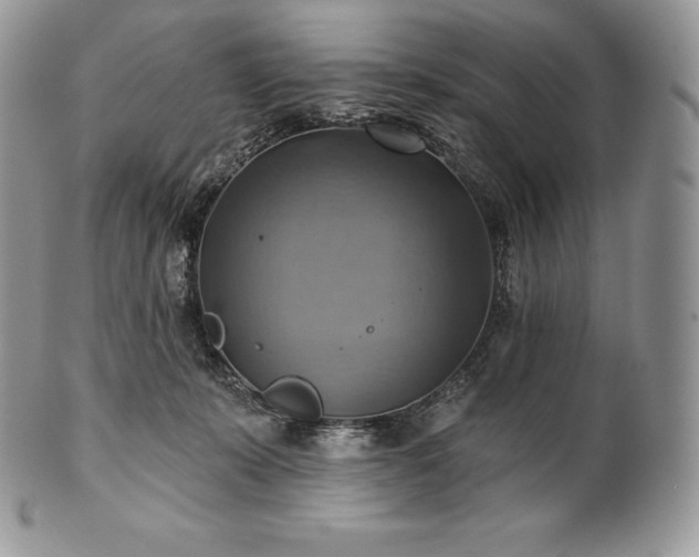 X0000101160319200807071204