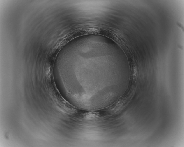 X0000101160320200807071204