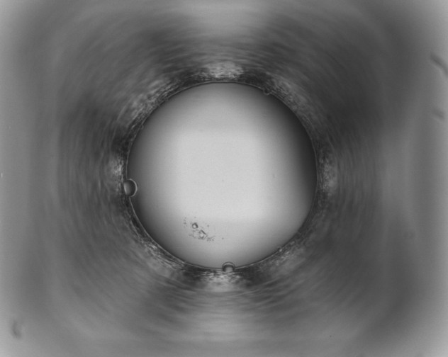 X0000101160321200807071204