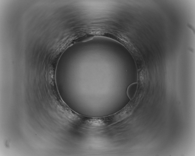 X0000101160322200807071204