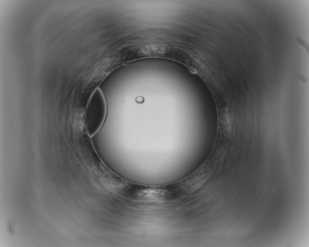 X0000101160323200807071204