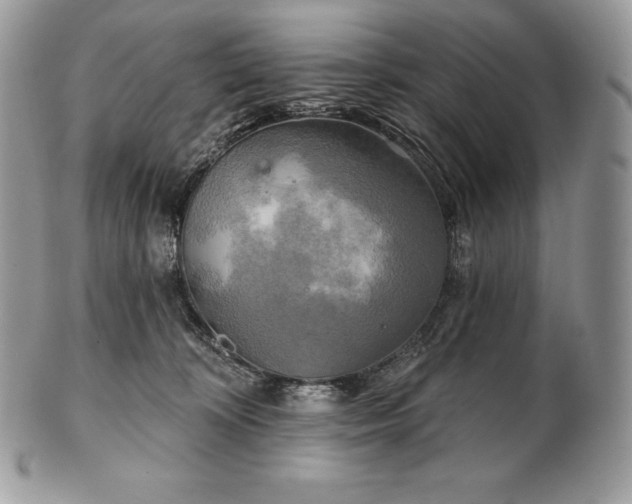 X0000101160324200807071204