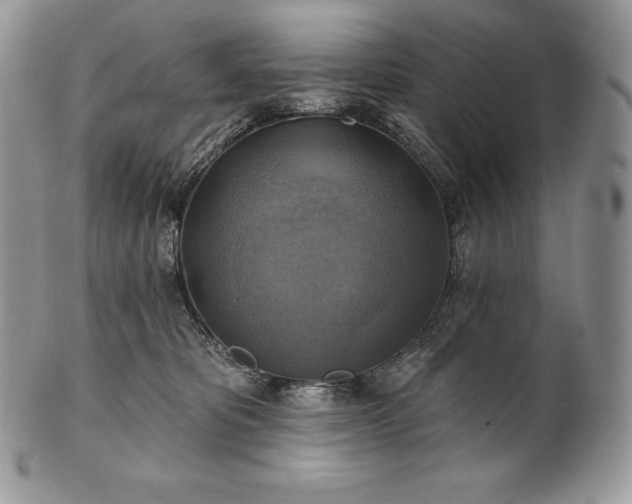 X0000101160325200807071204