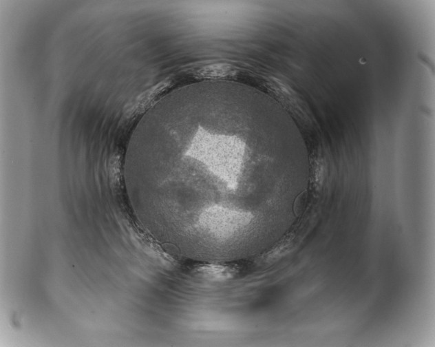 X0000101160326200807071204