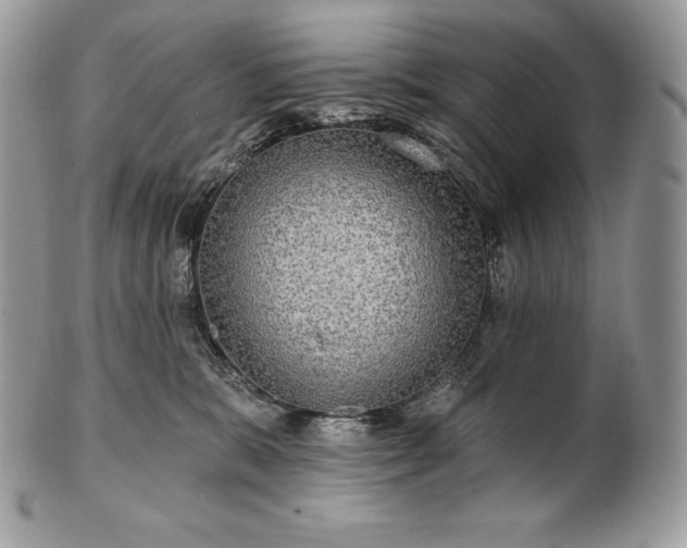 X0000101160327200807071204