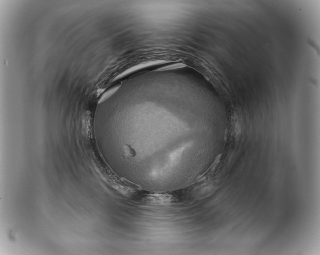 X0000101160328200807071204