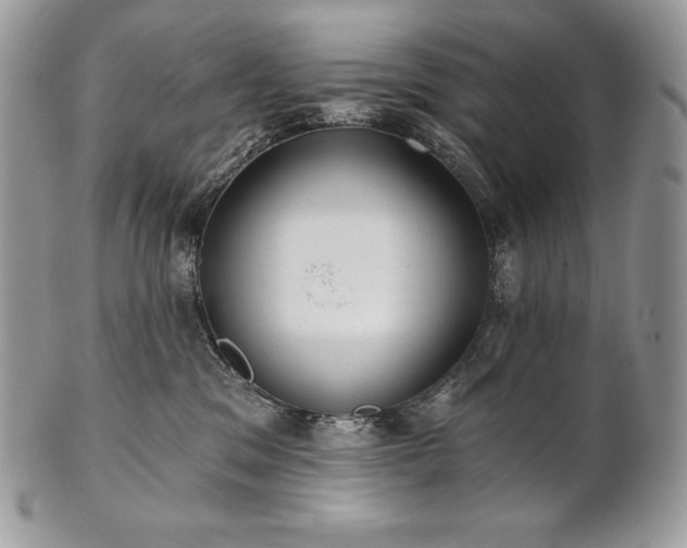 X0000101160329200807071204